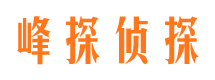 万州侦探公司